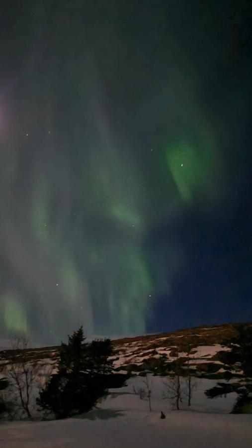 Steinhusith Hotell Holmavik Exteriör bild